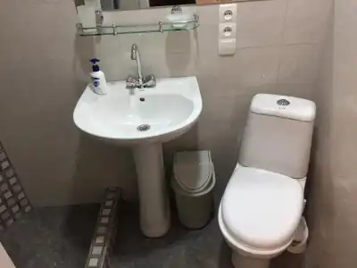 公寓 საოჯახო სასტუმრო “Borjomi Guest house“ - 20