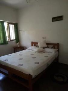 Mango Garden - 28