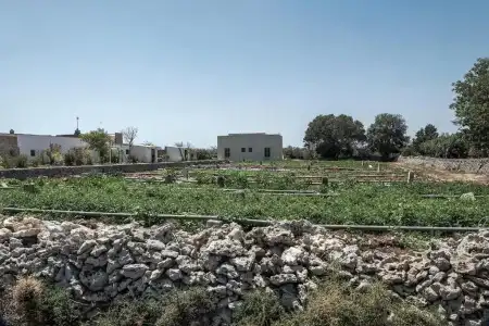 Masseria Berzario - 45