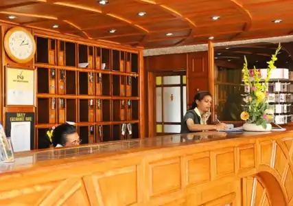 Gold Crest - 21