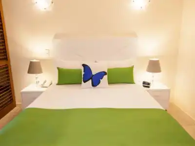 Freestyle Resort Port Douglas - 26