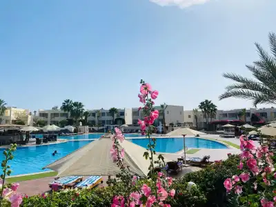Sharm Reef - 25