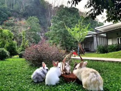 V Valley Resort - 35