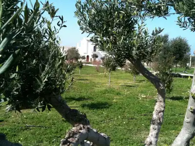 Casale del Murgese - 6