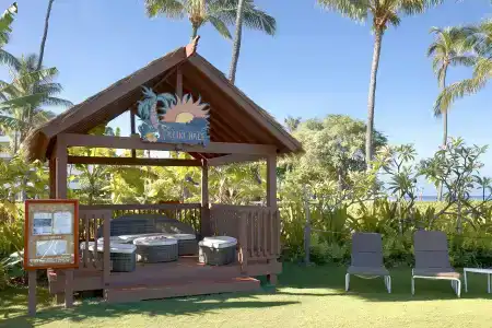 Sheraton Maui Resort & Spa - 42