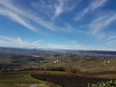 Villa Bellavista Alba - 13