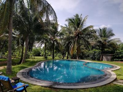 The Nature Park Villa - 9