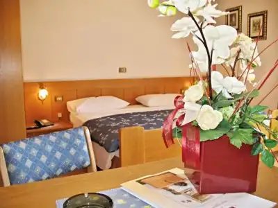 Panorama - 20