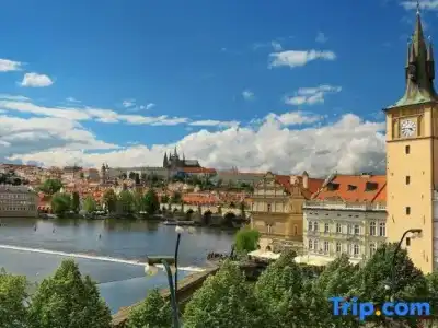The Mozart Prague - Preferreds - 224