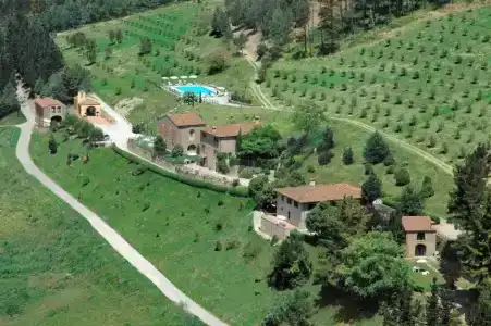 Fattoria Il Lago - 51