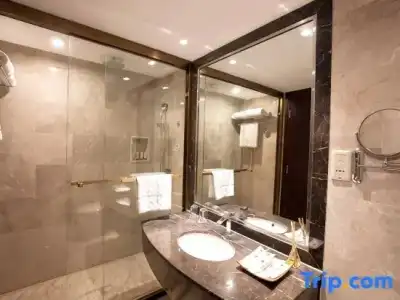 Wuhan Hongguang - 46