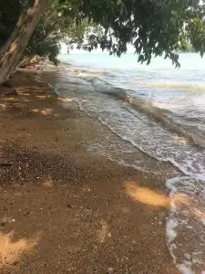 Blue Orchid Beach Krabi - 11