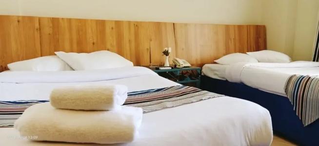Siesta - All Inclusive - 58