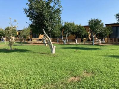 Bodrum Gaia Tiny Houses Butik - 4