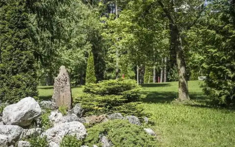 Waldsee - 42