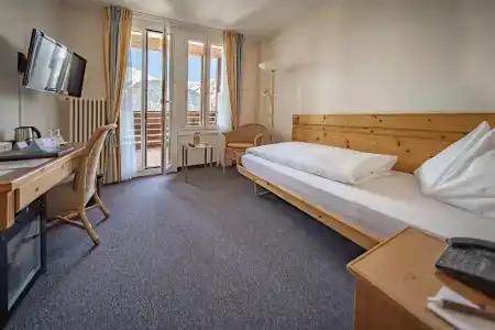 Braunbär & Spa - 4