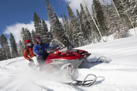 Star Arctic & Activities - 1