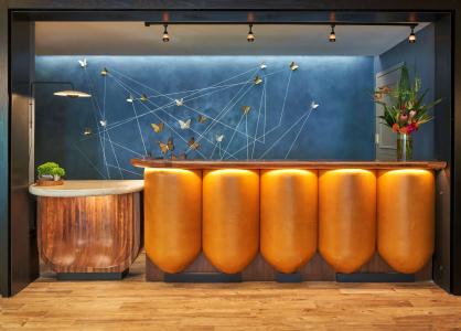 Viceroy Washington DC - 1