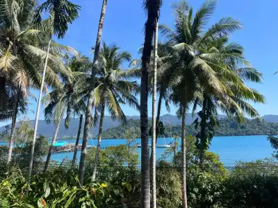 Island View Resort & Spa - 14
