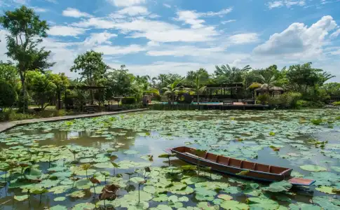 Ayutthaya Retreat - 4