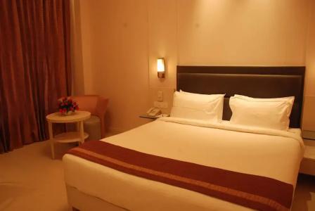 Sarovar Portico Naraina Delhi - 68