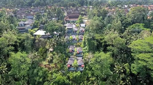 Black Penny Villas Ubud - 30