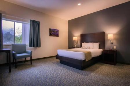 Sun & Ski Inn and Suites - 80