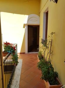 B&B Il Roma - 20