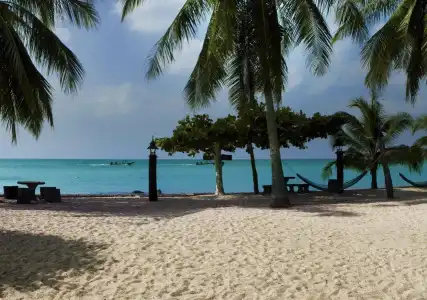 Dewshore Resort - 4