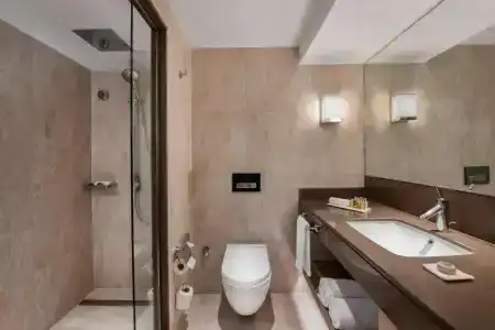 Renaissance Polat Istanbul - 56