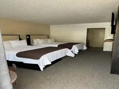 Sleepy Bear Motel - 25