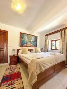 Palata Venezia - 56