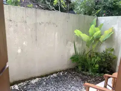 Kuta Suci Guest House - 61