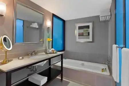Sheraton Buenos Aires & Convention Center - 101