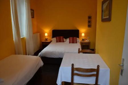 Hôtel du Château Annecy - 6