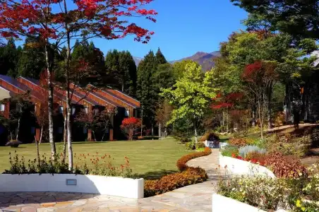 Sierra Resort Hakuba - 24