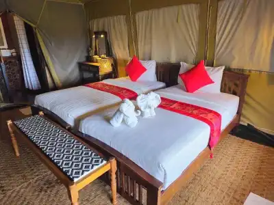 Khaosok Boutique Camps - 70