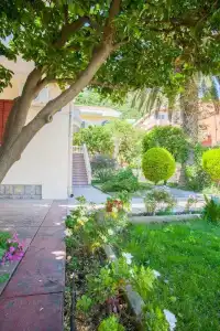 Vila Mitrovic - 16