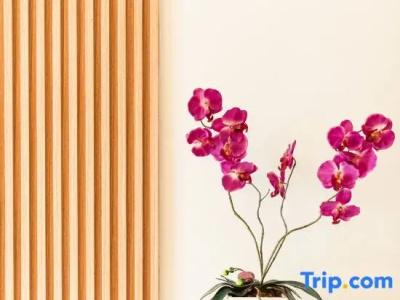 The Golden Ville Boutique & Spa - 170