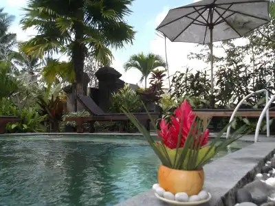 Villa JJ and Spa Ubud - 9