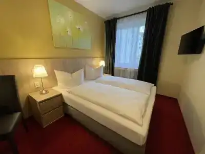Palm Premium - 45