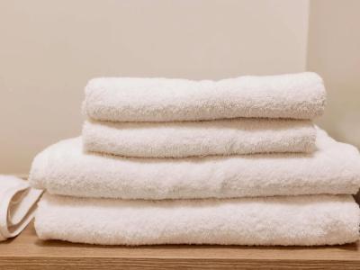 Ibis Clermont Ferrand A71 A75 La Meridienne - 53