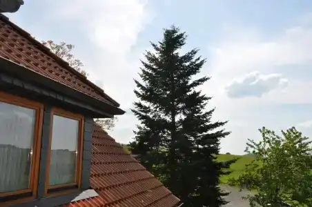Rhön Sonnenhof - Restaurant & Café - 13
