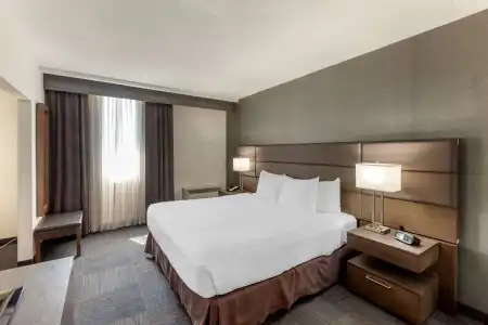Best Western Plus Toronto Airport - 63