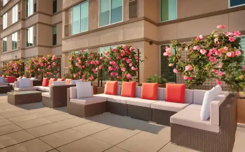 Hyatt House at Anaheim Resort/Convention Center - 25