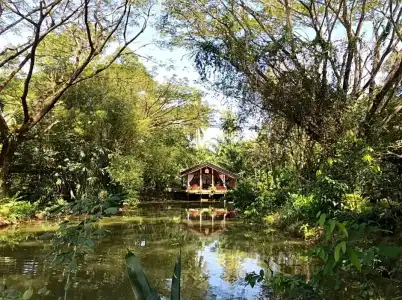 Ekman Garden Resort Nakhon Si Thammarat - 28