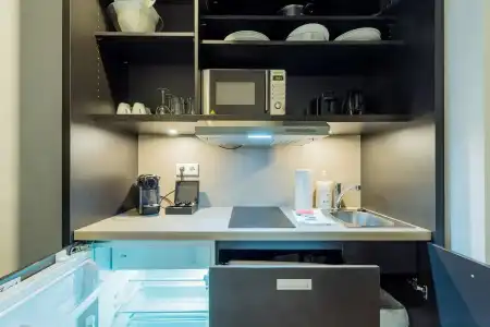 Homaris Kreuzberg 61 - 14