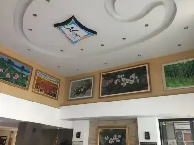 Naris Art - 1
