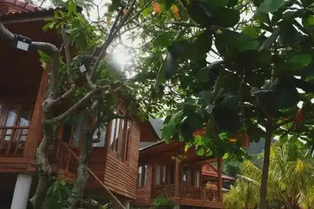 Cay Sao Phu Quoc - 0