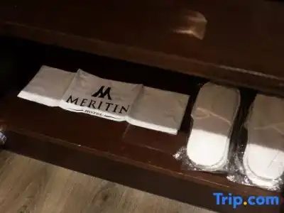Meritin - 102